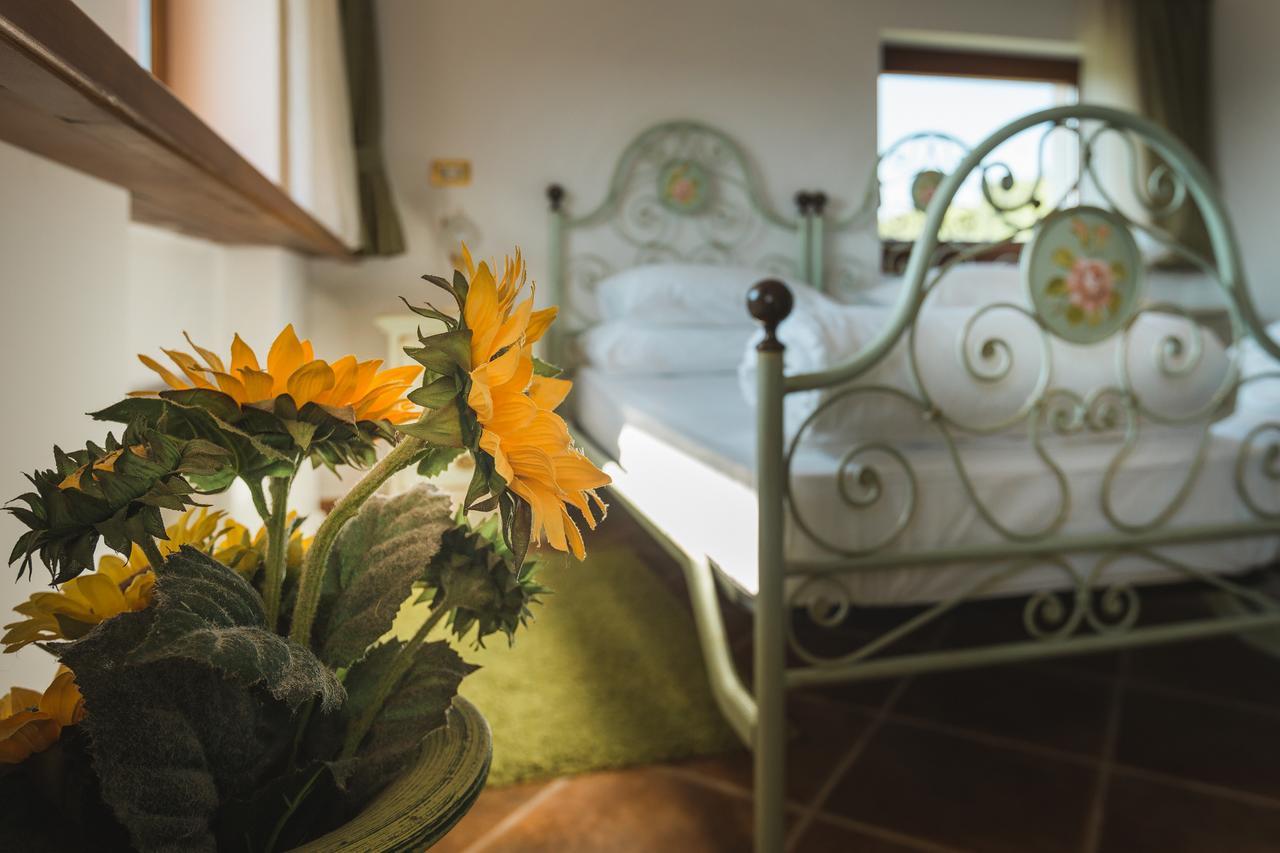 Palazzo Angelica B&B Adults Only Oprtalj Exterior photo